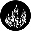 Gbvfms002