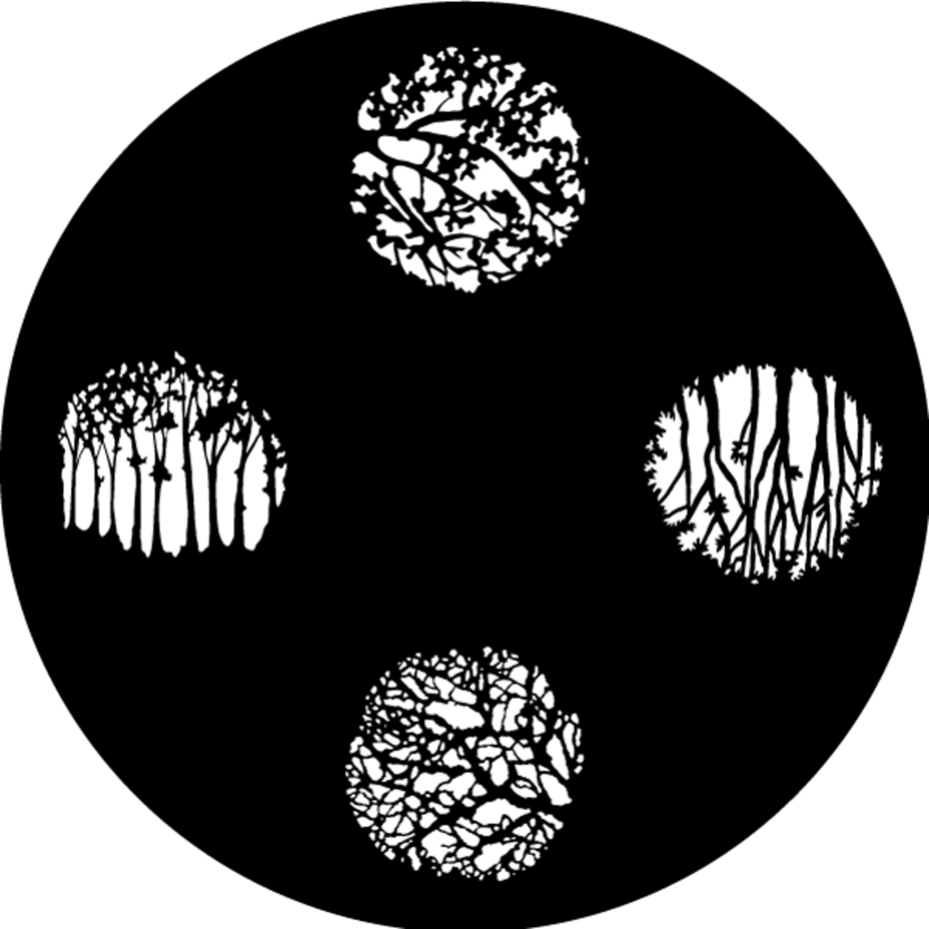 Spooky Trees & Hedge