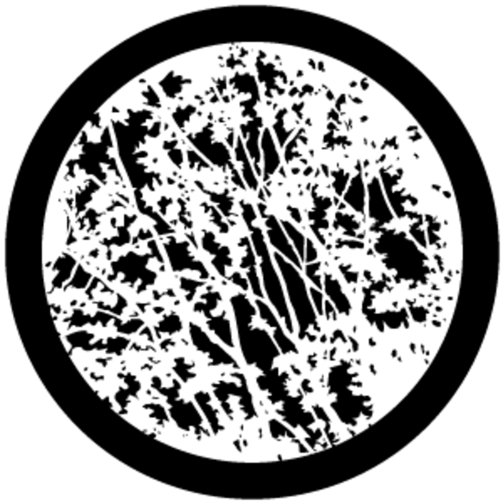 Gbvnat001