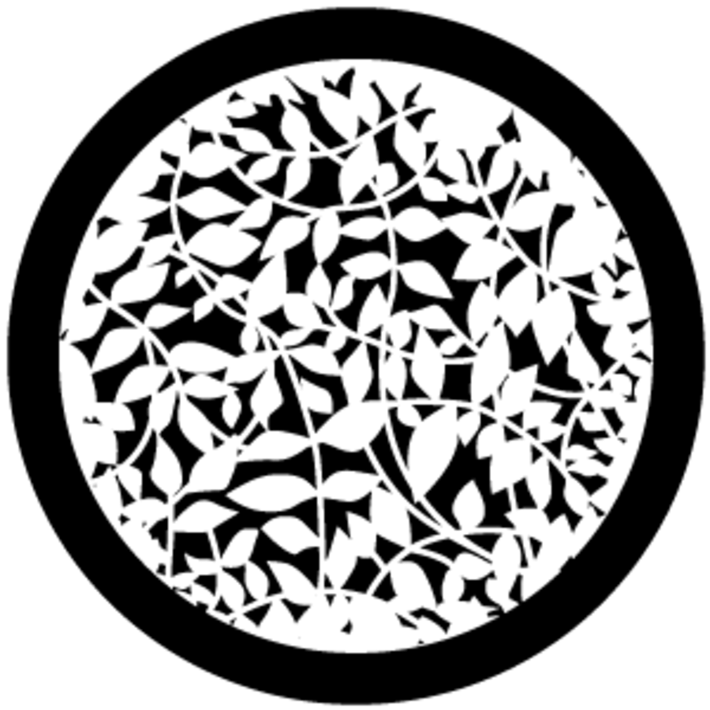 Gbvnat006