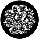 Gbvnat010