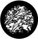 Gbvnat014