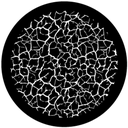 Gbvnat018
