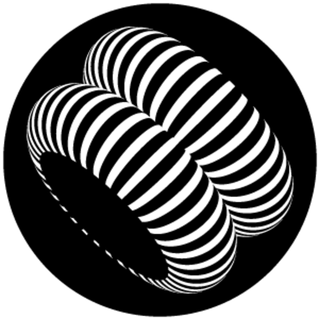 Gbvvsl017