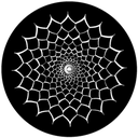 3D Net