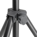 LDSPS16_4.jpg