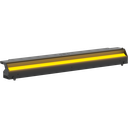 EclCyclorama 100 1