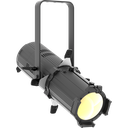 EclProfile JrZIP 1