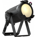 EclPar IPSVW 2