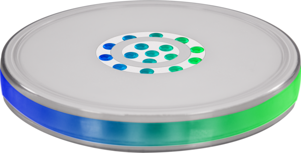 Smart Disk