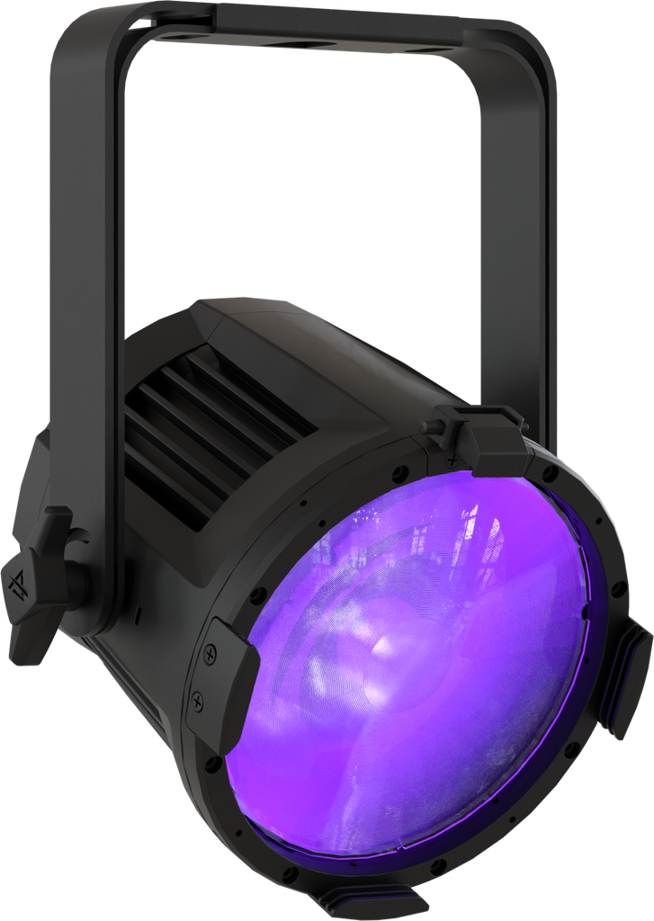 EclPar IPMUV