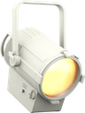 EclFresnel 2K