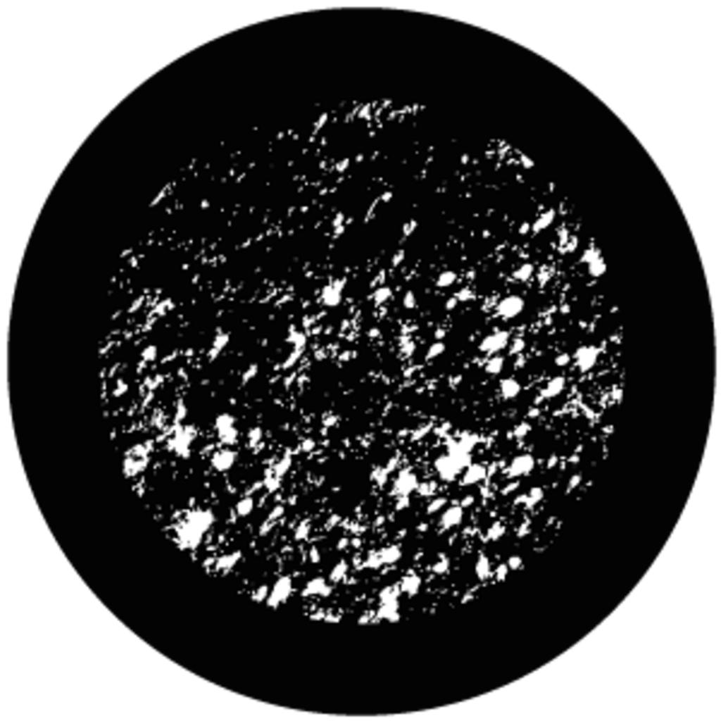 Gbvhft031