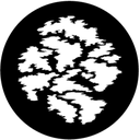 Gbvmsl009