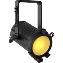 EclPar IPSFC