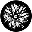 Gbvabs015