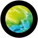 Splash