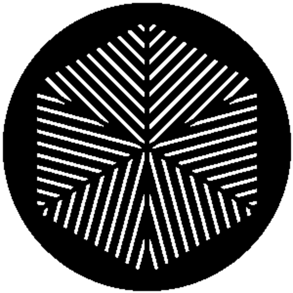 Straight Lines 8