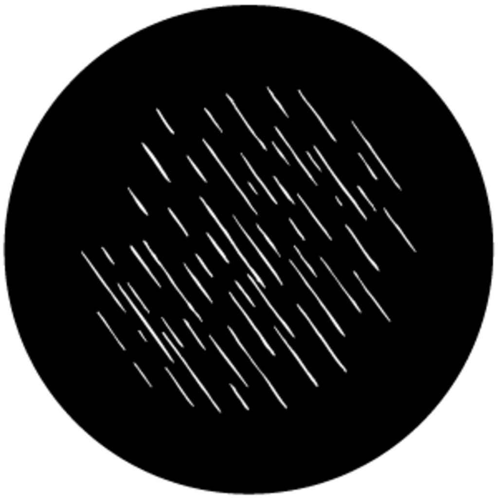 Gbvmsl016
