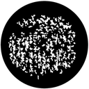 Gbvnat002