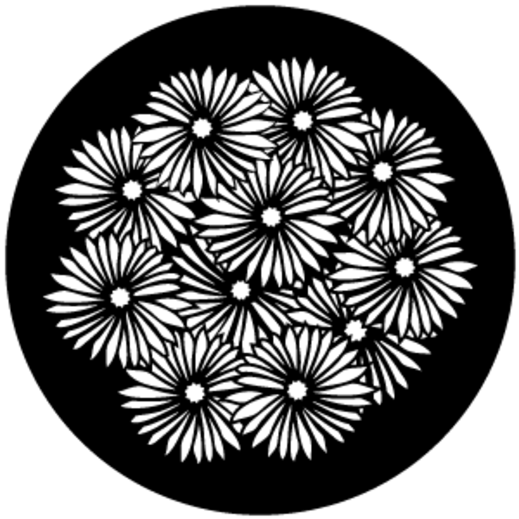 Gbvnat010