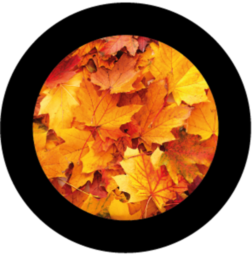 [GBBNAT03220H15] Autumn Foliage (H)