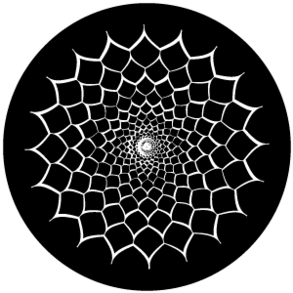 Gbvvsl021