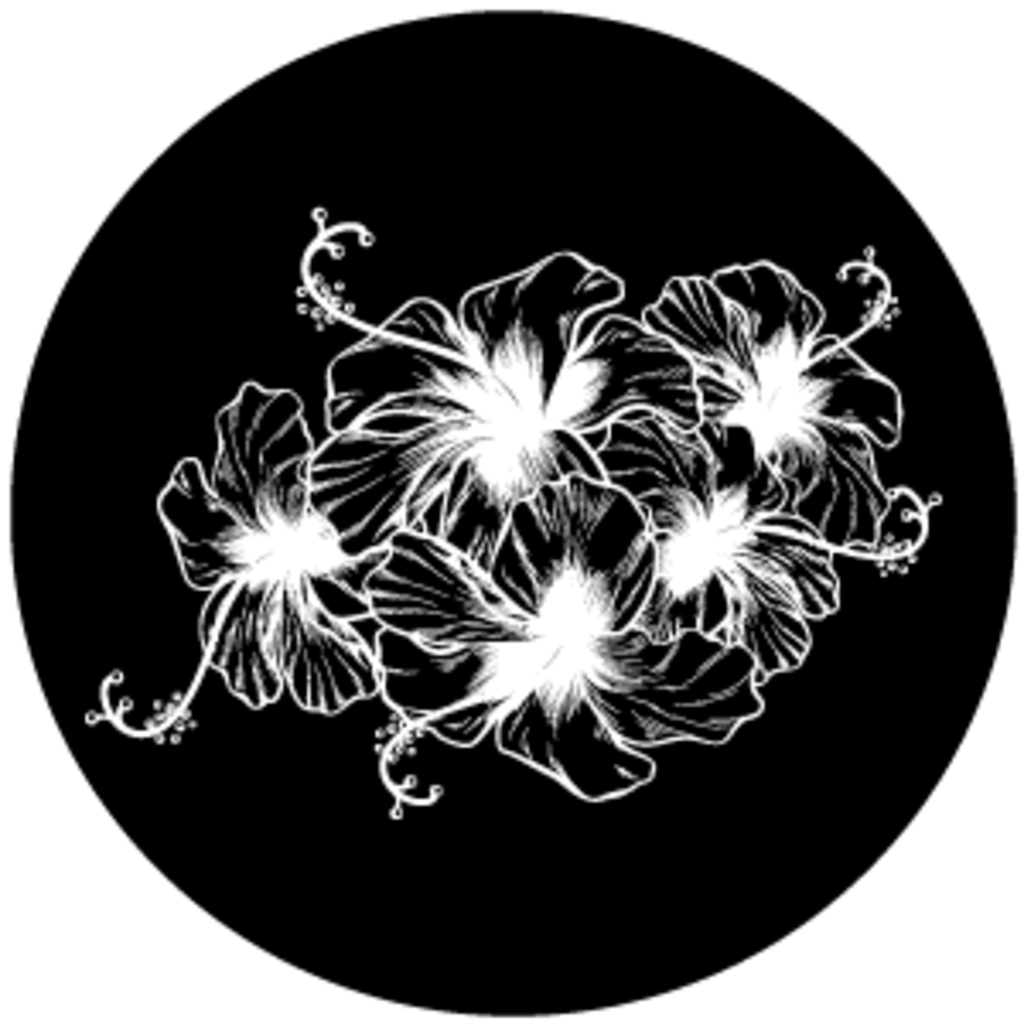 Flowers 4